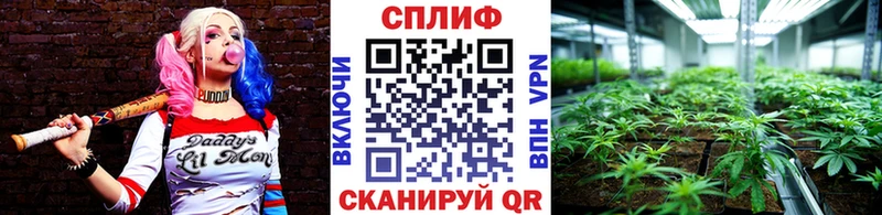 Конопля Bruce Banner  Купить  Тавда 